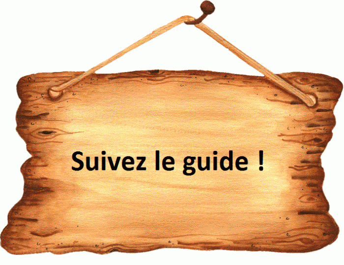 Les guides des joueurs